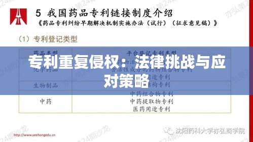 专利重复侵权：法律挑战与应对策略