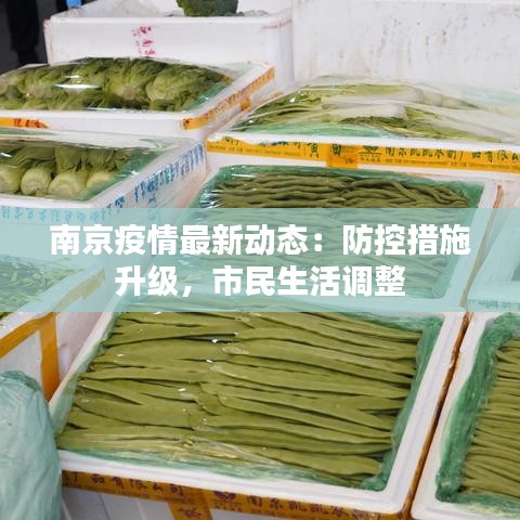 南京疫情最新动态：防控措施升级，市民生活调整