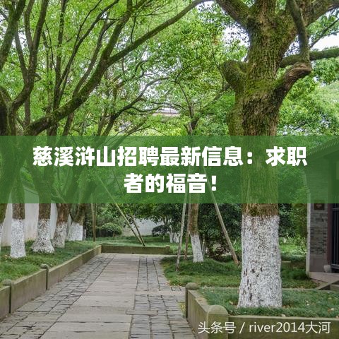 慈溪浒山招聘最新信息：求职者的福音！