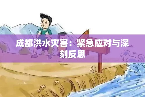 成都洪水灾害：紧急应对与深刻反思