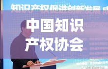 中国知识产权协会陈燕：推动知识产权保护，助力创新发展