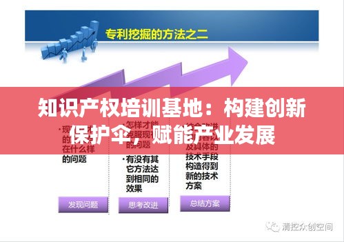 知识产权培训基地：构建创新保护伞，赋能产业发展