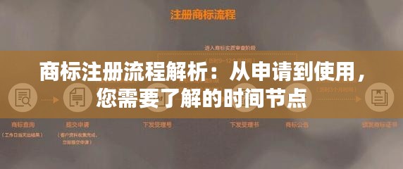 商标注册流程解析：从申请到使用，您需要了解的时间节点