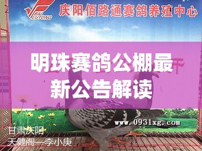 明珠赛鸽公棚最新公告解读