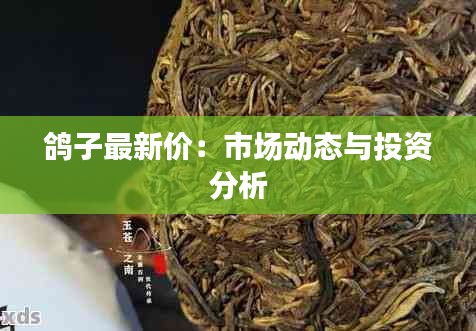 鸽子最新价：市场动态与投资分析