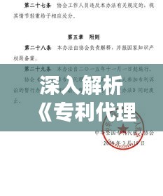 深入解析《专利代理条例细则》：规范与创新的桥梁