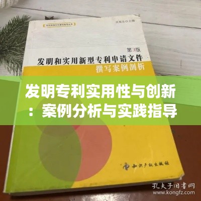 发明专利实用性与创新：案例分析与实践指导