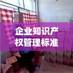 企业知识产权管理标准：构建核心竞争力的重要基石