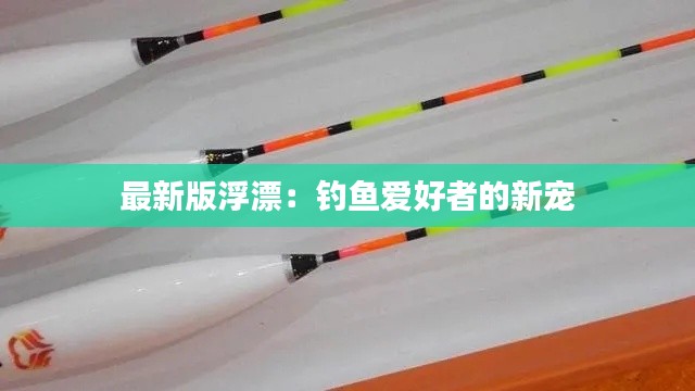 最新版浮漂：钓鱼爱好者的新宠