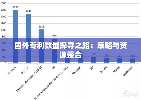 国外专利数量探寻之路：策略与资源整合