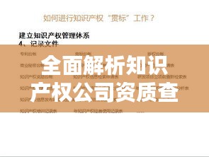 全面解析知识产权公司资质查询：了解与操作指南