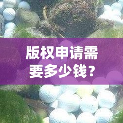 版权申请需要多少钱？