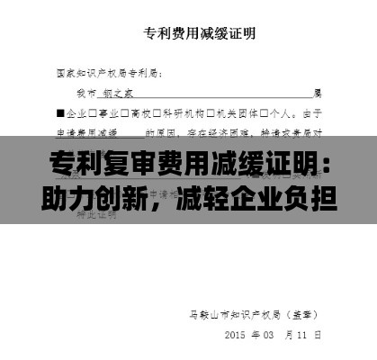 专利复审费用减缓证明：助力创新，减轻企业负担