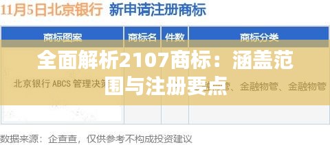 全面解析2107商标：涵盖范围与注册要点