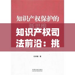 知识产权司法前沿：挑战与应对策略