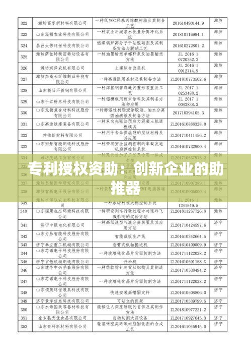 专利授权资助：创新企业的助推器