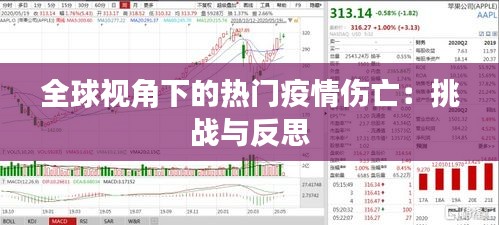 全球视角下的热门疫情伤亡：挑战与反思