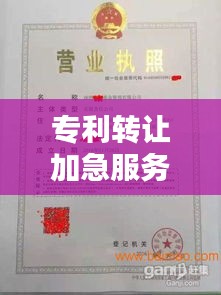 专利转让加急服务：揭秘加急办理的流程与时间