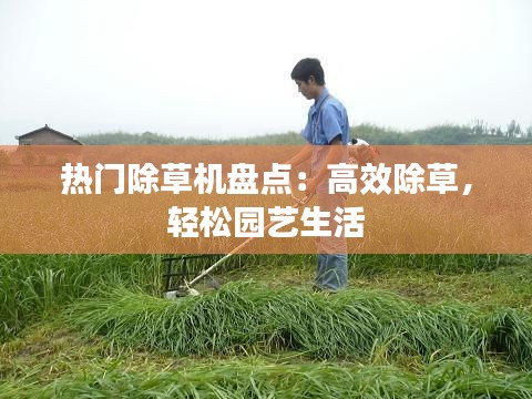 热门除草机盘点：高效除草，轻松园艺生活