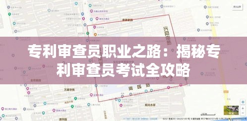 专利审查员职业之路：揭秘专利审查员考试全攻略