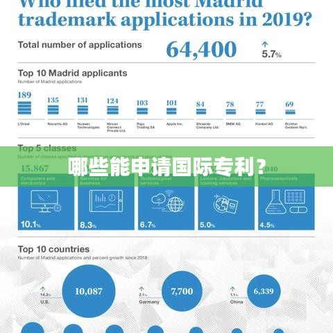 哪些能申请国际专利？