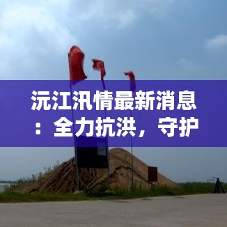 沅江汛情最新消息：全力抗洪，守护家园安全