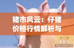 猪市风云：仔猪价格行情解析与展望