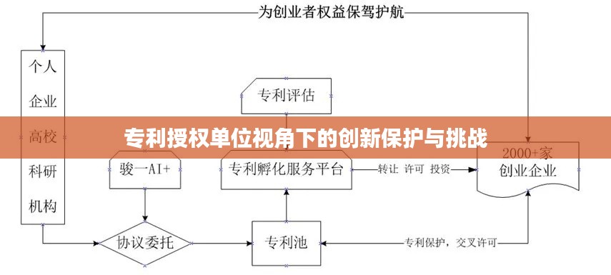 专利授权单位视角下的创新保护与挑战