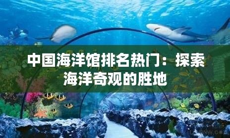 中国海洋馆排名热门：探索海洋奇观的胜地