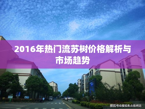 2016年热门流苏树价格解析与市场趋势