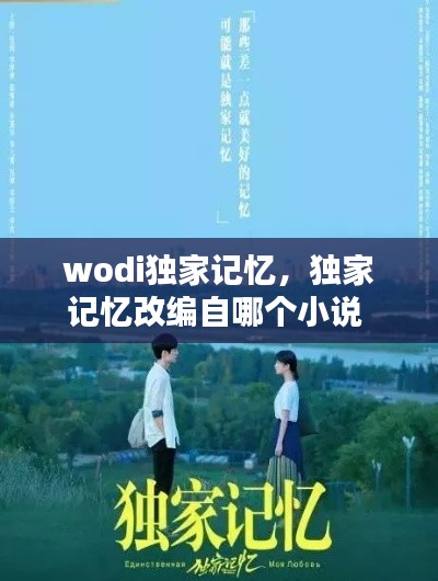 wodi独家记忆，独家记忆改编自哪个小说 