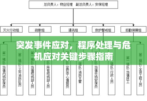 突发事件应对，程序处理与危机应对关键步骤指南