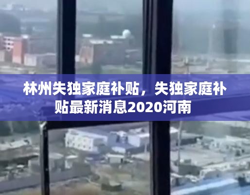 林州失独家庭补贴，失独家庭补贴最新消息2020河南 