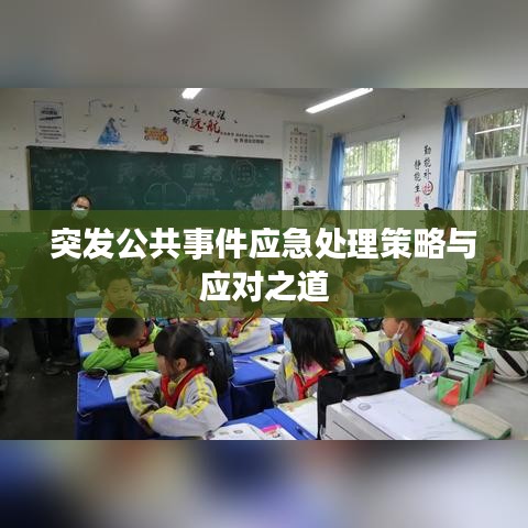 突发公共事件应急处理策略与应对之道