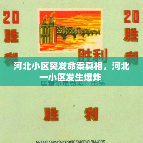 河北小区突发命案真相，河北一小区发生爆炸 