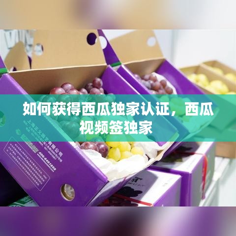 如何获得西瓜独家认证，西瓜视频签独家 