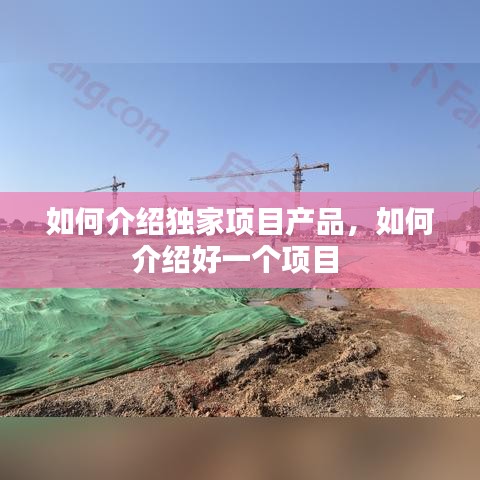 如何介绍独家项目产品，如何介绍好一个项目 