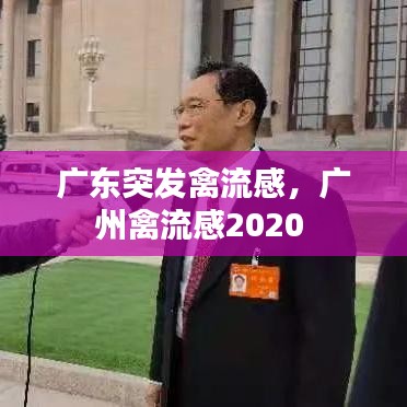 广东突发禽流感，广州禽流感2020 