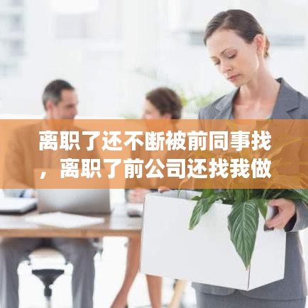 离职了还不断被前同事找，离职了前公司还找我做事 