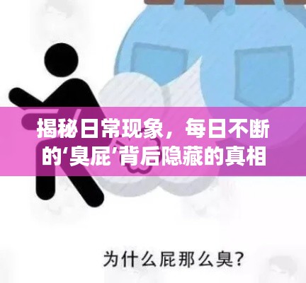 揭秘日常现象，每日不断的‘臭屁’背后隐藏的真相