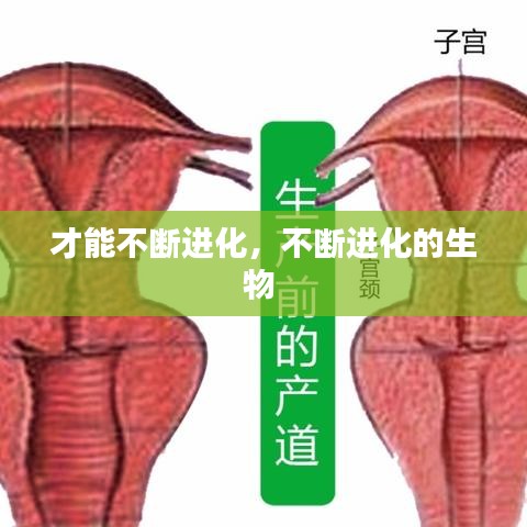 专利托管中心 第17页