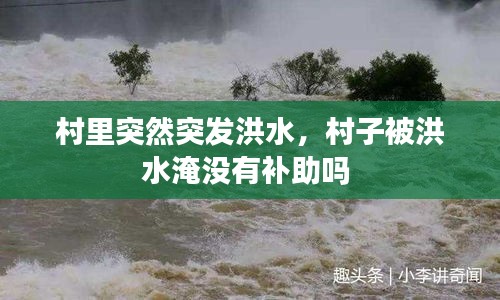 村里突然突发洪水，村子被洪水淹没有补助吗 