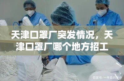 天津口罩厂突发情况，天津口罩厂哪个地方招工 