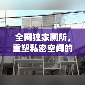 全网独家厕所，重塑私密空间的艺术与舒适体验