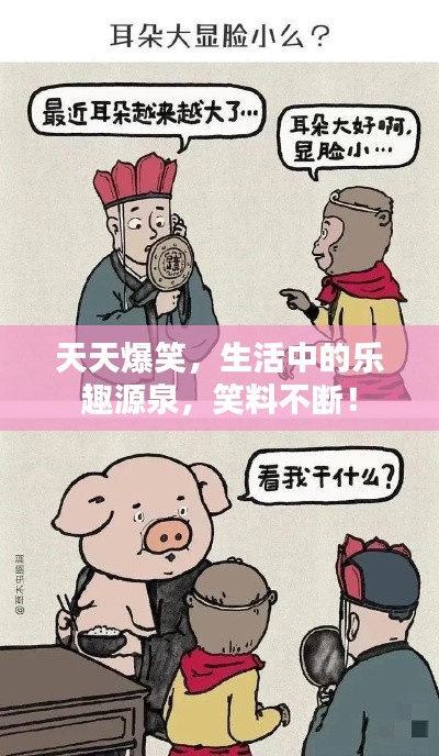 天天爆笑，生活中的乐趣源泉，笑料不断！