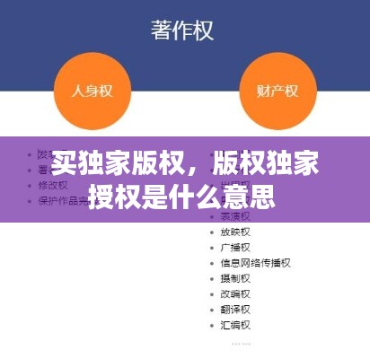 买独家版权，版权独家授权是什么意思 