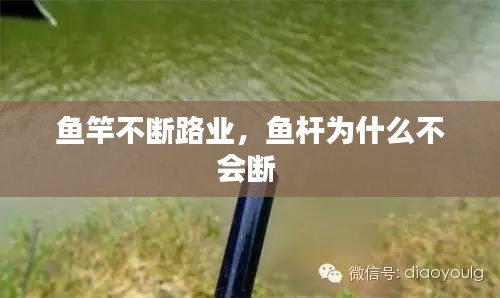 知识产权预算中心 第7页