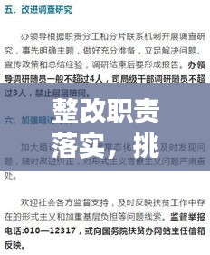 整改职责落实，挑战与重要性解析