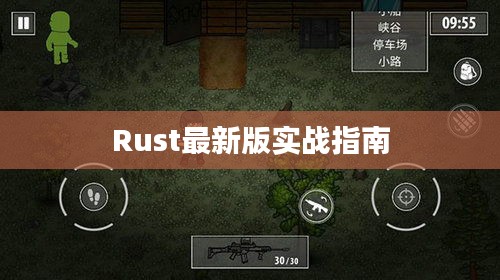 Rust最新版实战指南