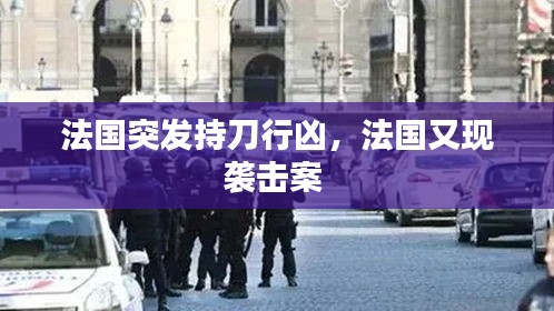 法国突发持刀行凶，法国又现袭击案 